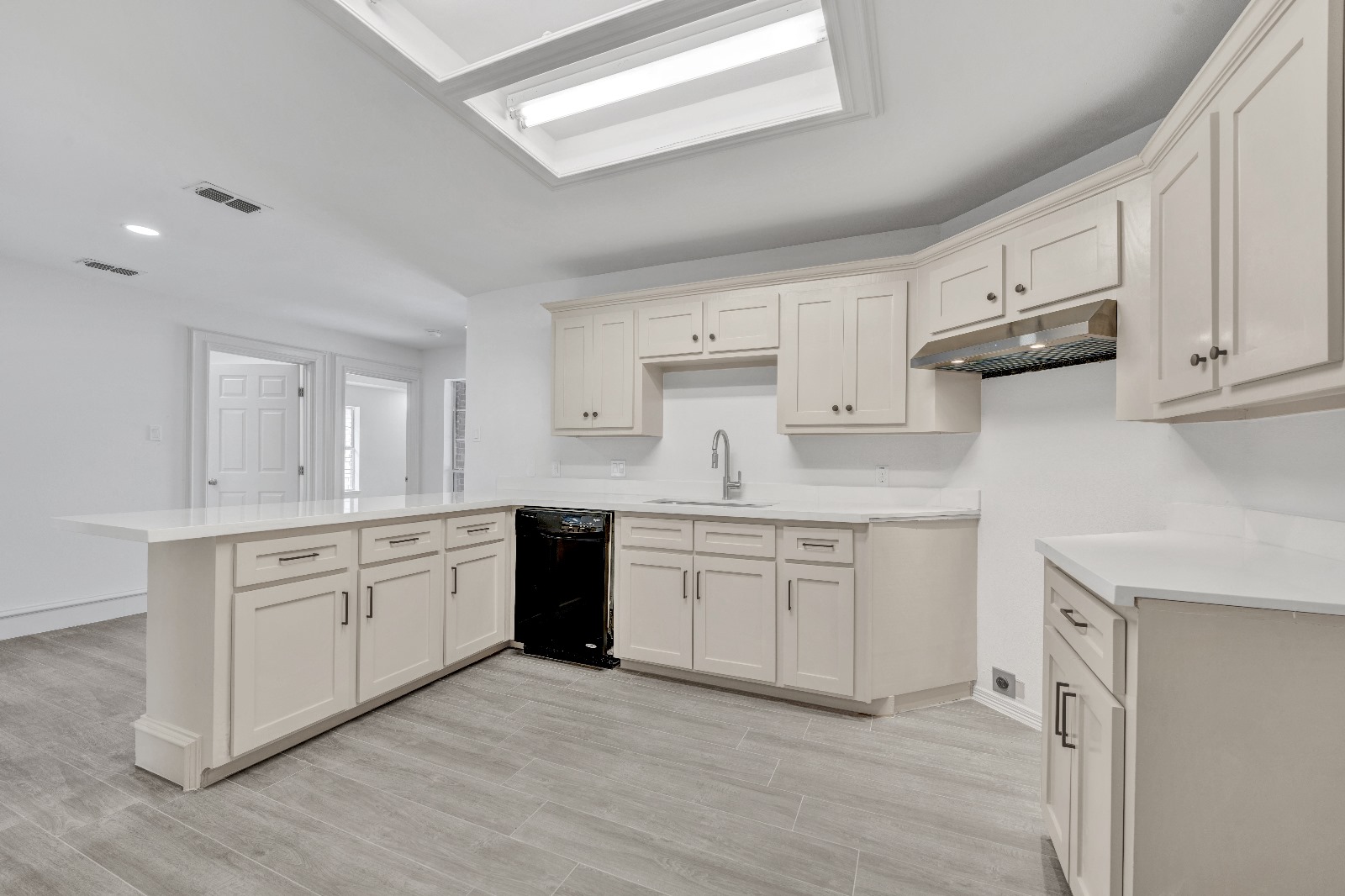 Casa 309 · kitchen with skylight, quartz counters